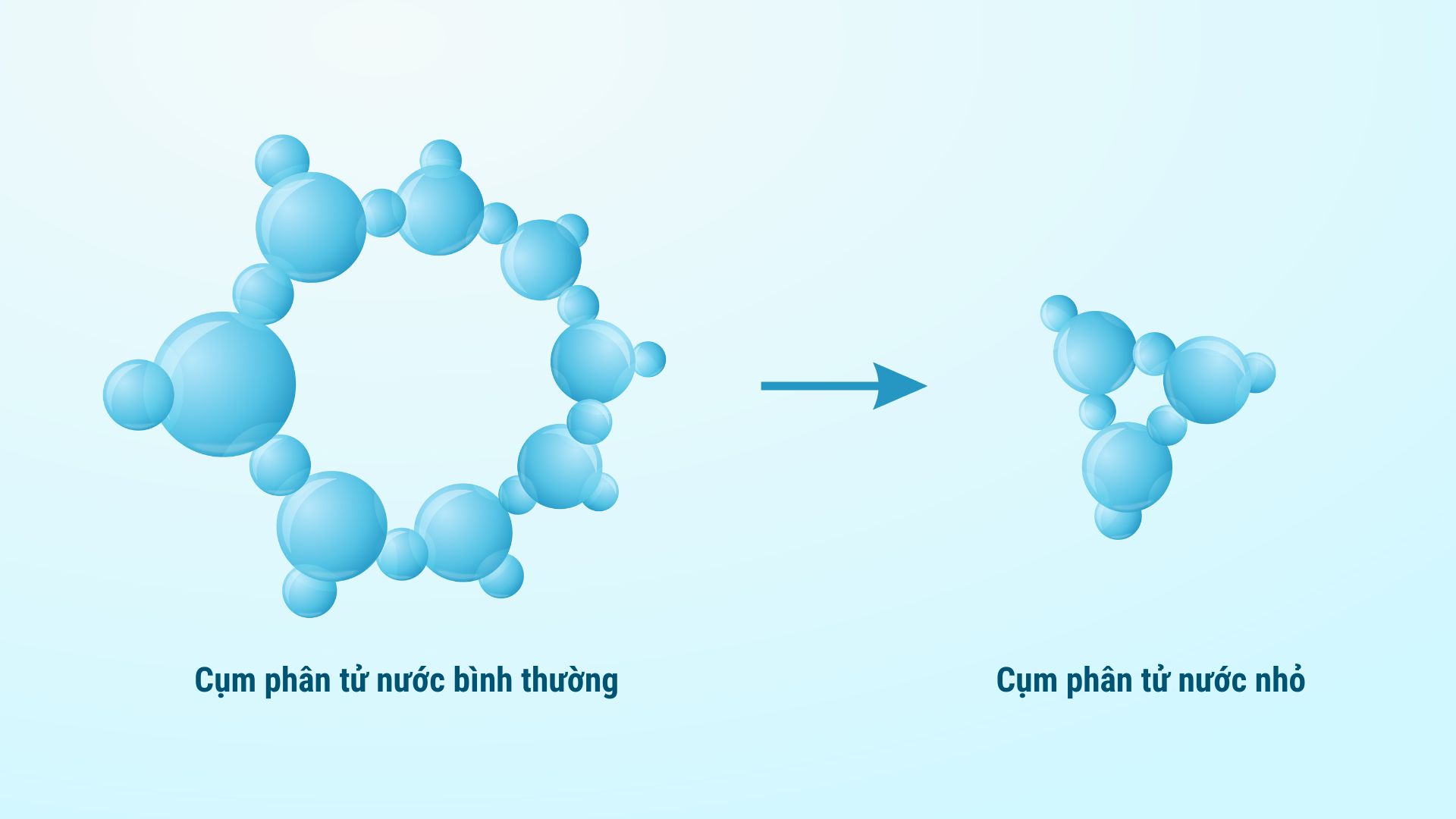 Các cách giải rượu nhanh chóng tại nhà